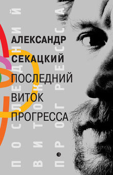Александр Секацкий - Последний виток прогресса