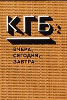 Константин Циолковский - Идеальный строй жизни