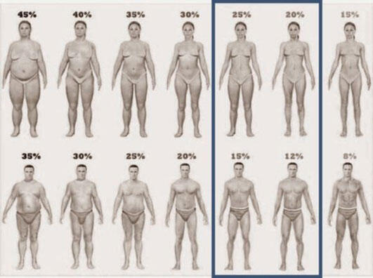 Процент жировой массы в организме мужчины и женщины Очищение организма должно - фото 1
