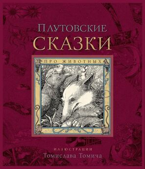 Джилл Барклем - Сказки и истории Ежевичной поляны (сборник)