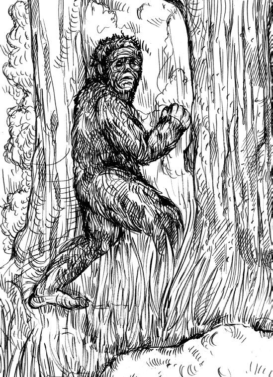 Так вот и человек произошел от обезьяны типа шимпанзе под влиянием окружающей - фото 11