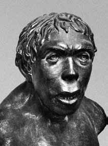 Рис 6 Неандертальцы вовсе не стадия развития человека Это форма - фото 8