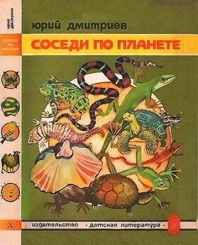 Юрий Дмитриев - Соседи по планете: Домашние животные