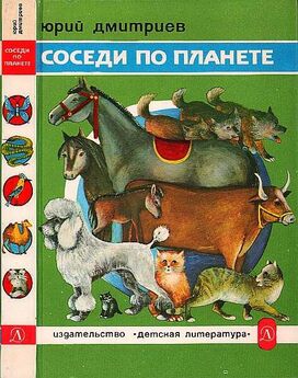 Юрий Дмитриев - Соседи по планете Млекопитающие