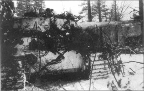 Тигр за номером 4 черного цвета в засаде Советскогерманский фронт - фото 42
