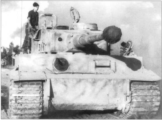 Тигр номер 311 из состава 3й роты Советскогерманский фронт июль 1943 - фото 57