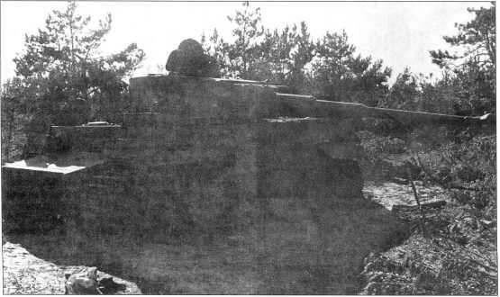 PzKpfwVIH номер 13 подбитый советскими войсками на северном фасе Курской - фото 109