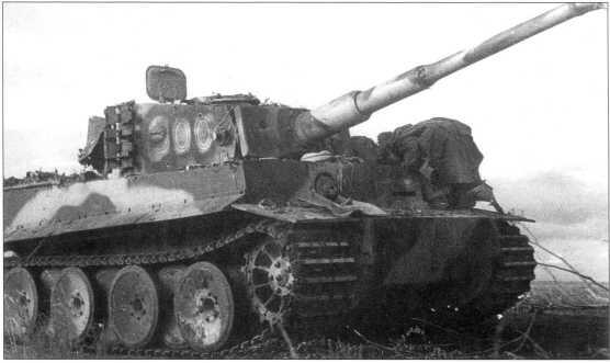 Тигр I номер 300 захваченный советскими войсками в районе Смоленска - фото 113