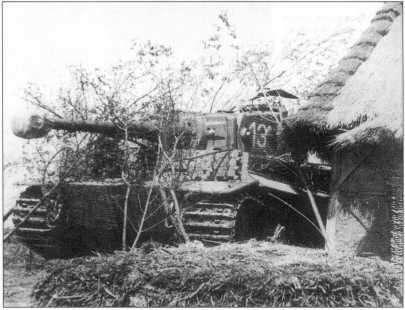 Тигры 506го батальона в боях на советскогерманском фронте Весна 1944 года - фото 123