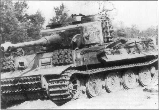 Тигр с номером F01 Западный фронт апрель 1945 года По немецким данным в - фото 172