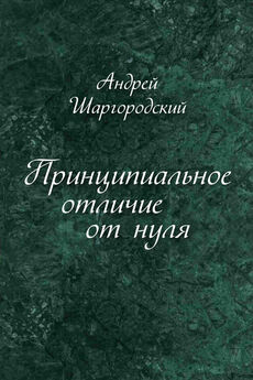 Андрей Шаргородский - Принципиальное отличие от нуля (сборник)