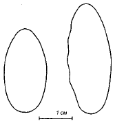 Рис 1 Характерный размер и форма заготовок лепестков для самодельных окуневых - фото 1