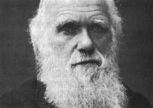 Чарльз Дарвин автор книги О происхождении видов обосновавший теорию - фото 2
