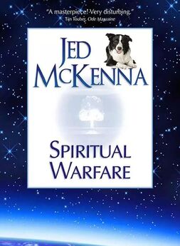 Джед МакКенна - Духовное просветление: прескверная штука
