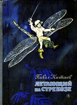 Вениамин Каверин - Летающий мальчик