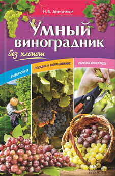 Сергей Кашин - Умный виноградник. Выгодно и легко