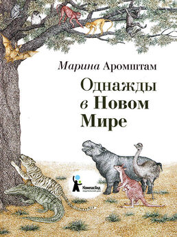 Марина Аромштам - Плащ крысолова (сборник)