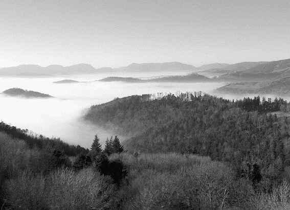 Поздней осенью долины Вогезских гор утопают в тумане В результате бесчисленных - фото 2