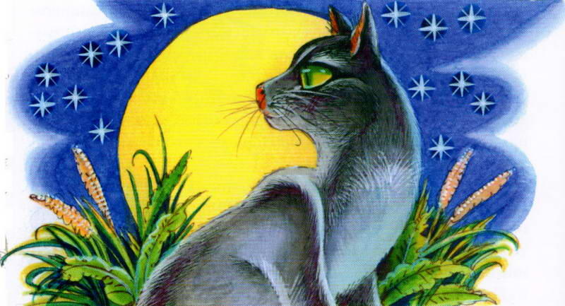 Эта белоснежная зеленоглазая кошка была дочерью Восходящей Луны и Ловца - фото 64