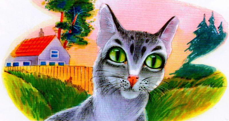 Одиночка Гроза была очень красивой кошкой пушистой серебристой с большими - фото 69