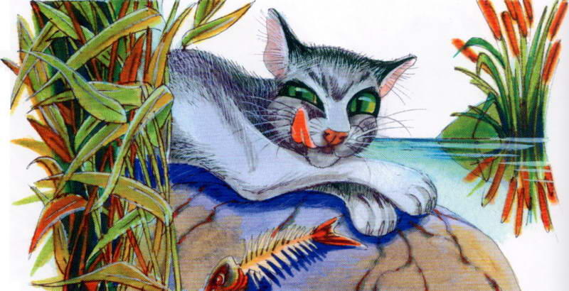 Зыбкая Река был очень добрым и очень красивым серебристосерым котом До - фото 74