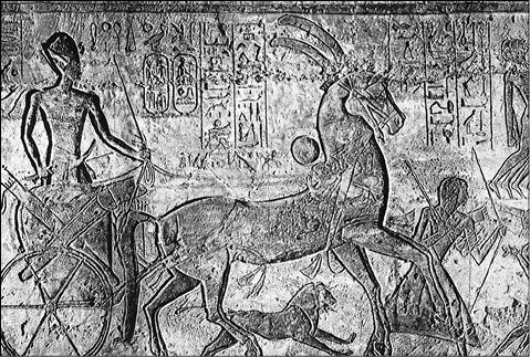 Рис 11 Рамзес II на колеснице во время битвы при Кадеше АбуСимбел Египет - фото 11
