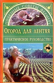 Евгения Сбитнева - Огород для лентяя