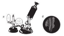 Рис 5 а микроскоп Роберта Гука при помощи которого он изучал - фото 13