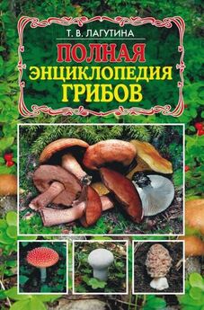 Татьяна Лагутина - Полная энциклопедия грибов