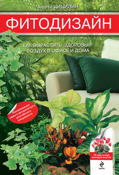 Илья Мельников - Комнатные растения. Зимние и многолетние цветы