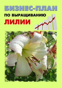 А. Бруйло - Бизнес-план по выращиванию тюльпанов