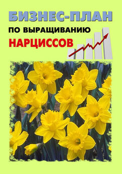 А. Бруйло - Бизнес-план по выращиванию хризантемы