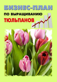 А. Бруйло - Энциклопедия бизнес-планов по выращиванию цветов на продажу