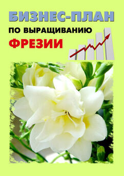 А. Бруйло - Бизнес-план по выращиванию хризантемы