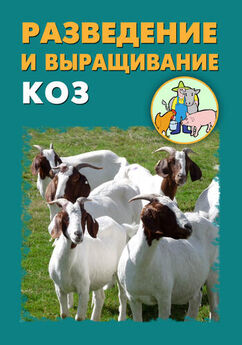 Илья Мельников - Разведение и выращивание коз