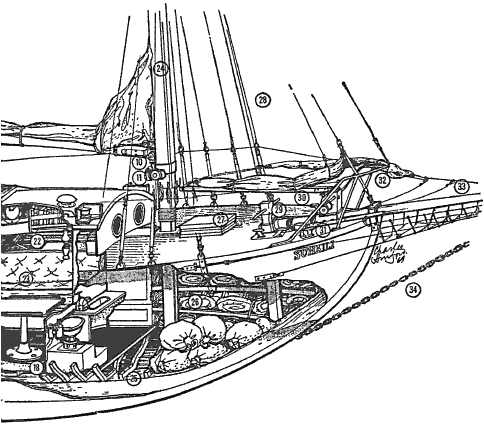 Общее устройство данные и характеристики яхты SUHAILI 22 Спальное - фото 5