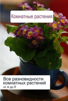Георгий Левандовский - Лекарственные растения вашего сада