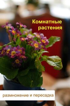 Илья Мельников - Комнатные растения. Зимние и многолетние цветы