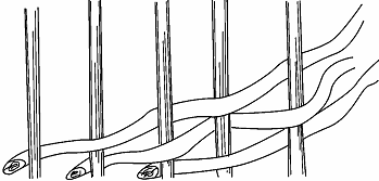 показано простое плетение одним прутом а ниже показано плетение двумя прутами - фото 7