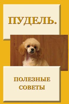 Илья Мельников - Разведение и выращивание собак