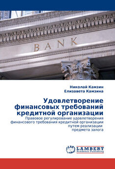 Елизавета Камзина - Удовлетворение финансовых требований кредитной организации
