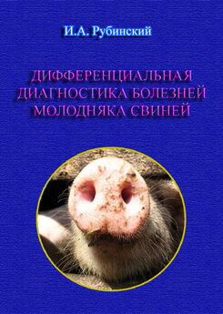 Игорь Рубинский - Дифференциальная диагностика болезней молодняка свиней