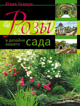 Юлия Тадеуш - Розы в дизайне вашего сада