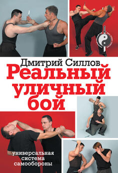 Константин Терёхин - Уличное каратэ. Как научиться драться за 100 дней