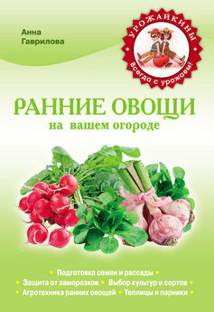 Елена Шкитина - Выращивание основных видов овощных культур. Технология богатых урожаев