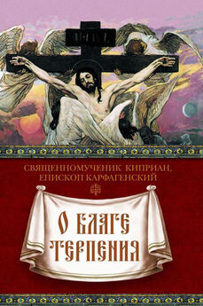 Священномученик Киприан Карфагенский - О благе терпения