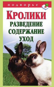 Илья Мельников - Разведение и выращивание кроликов