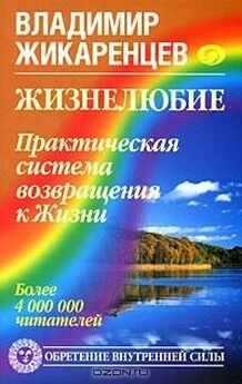 Владимир Караев - Душа взаймы. Эзотерический триллер