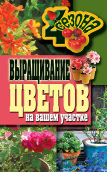 Татьяна Князева - Лучшие цветы для вашего сада