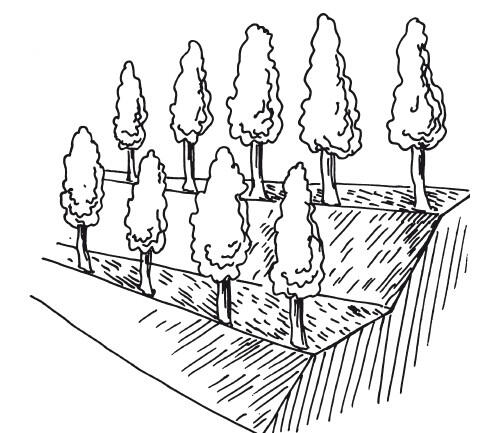 Рисунок 1 Сад на террасах В каждой местности преобладают ветры определенного - фото 1